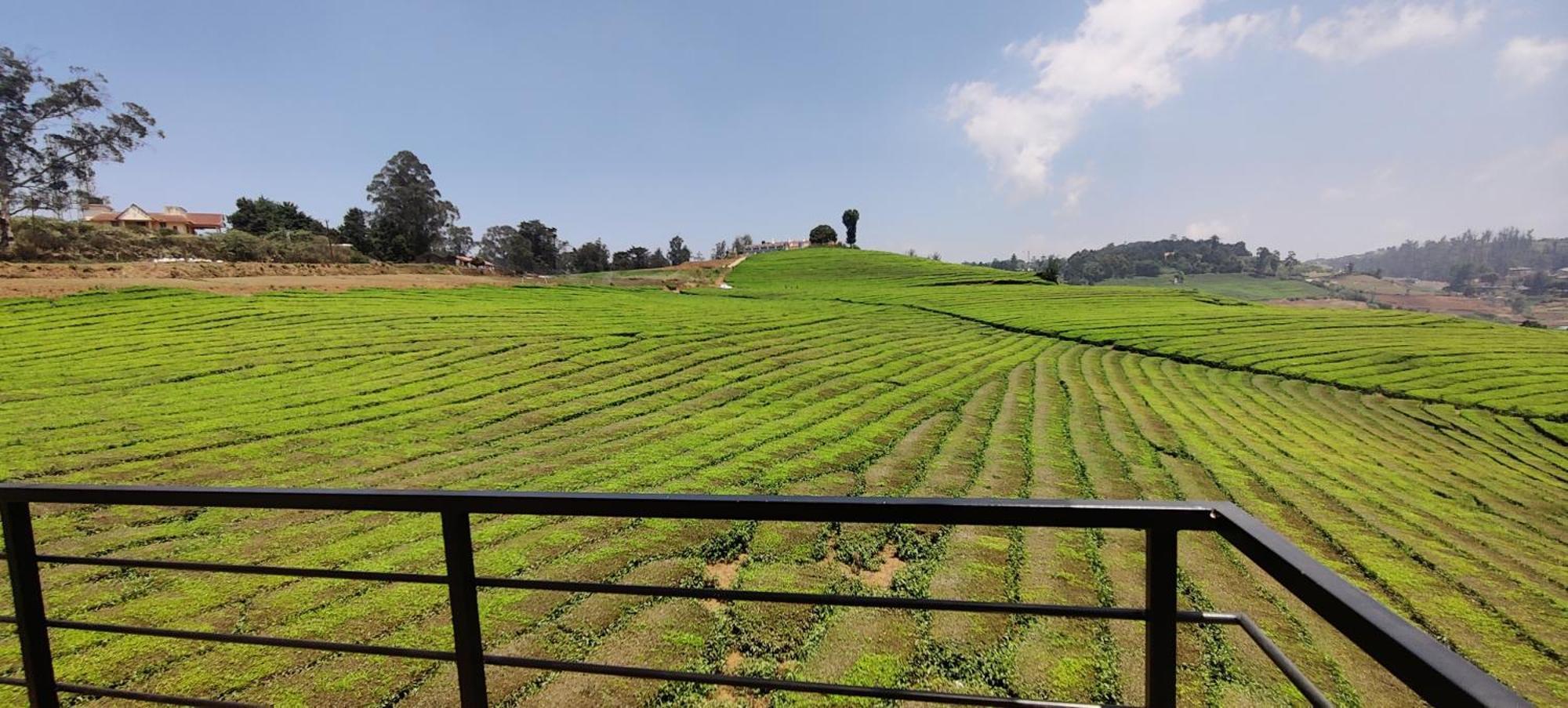 ウーティ Rose Garden Enclave For Families & Executives Bed & Breakfast エクステリア 写真